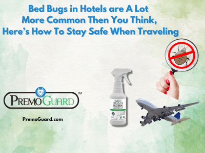 Bed Bugs in Hotels are A Lot More Common Then You Think, Here’s How To Stay Safe When Traveling