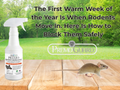 The First Warm Week of the Year Is When Rodents Move In. Here Is How to Block Them Safely