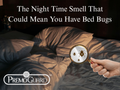 The Night Time Smell That Could Mean You Have Bed Bugs