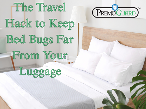 The Travel Hack to Keep Bed Bugs Far From Your Luggage