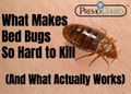 What Makes Bed Bugs So Hard to Kill (And What Actually Works)