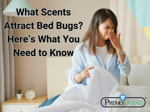 What Scents Attract Bed Bugs? Here’s What You Need to Know
