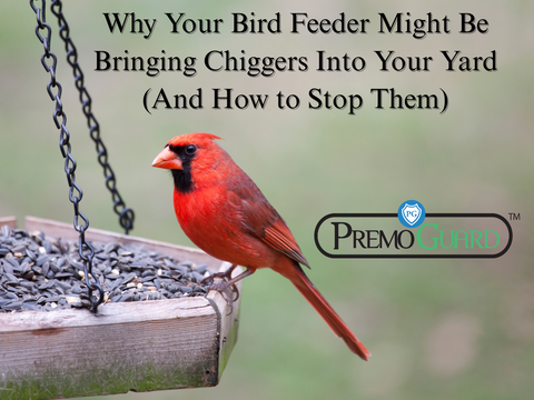 Why Your Bird Feeder Might Be Bringing Chiggers Into Your Yard (And How to Stop Them)