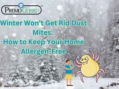 Winter Won’t Get Rid Dust Mites: How to Keep Your Home Allergen-Free