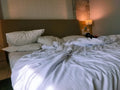 How to Use Bed Bug Spray for Traveling and Avoid Bringing Bugs Home