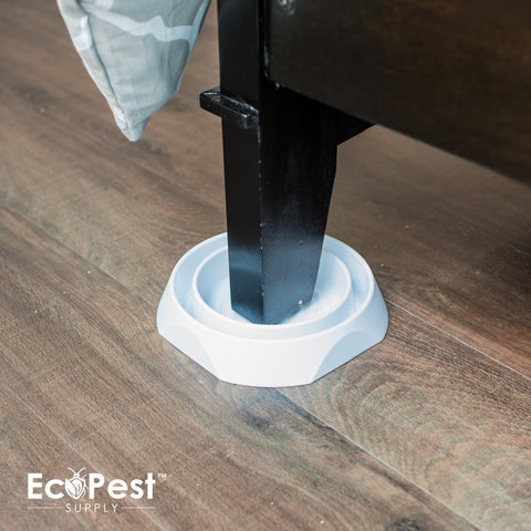Bed Bug Blocker (Pro)™ — 12 Pack | Interceptors, Monitors, and Traps by EcoPest Supply