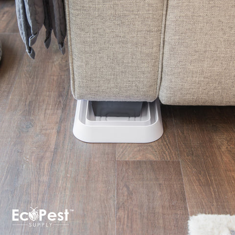 Bed Bug Blocker (XL)™ — 4 Pack | Interceptors, Monitors, and Traps by EcoPest Supply
