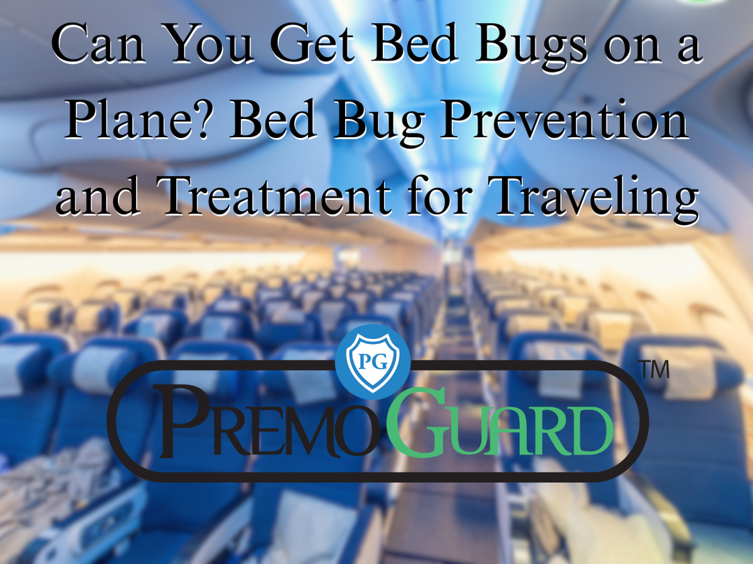 Say Goodbye to Hidden Pests: Why Premo Guard Laundry Additive is a Gam