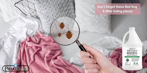 Don’t forget these Bed Bug & Mite hiding places - premo guard bed bug & mite spray