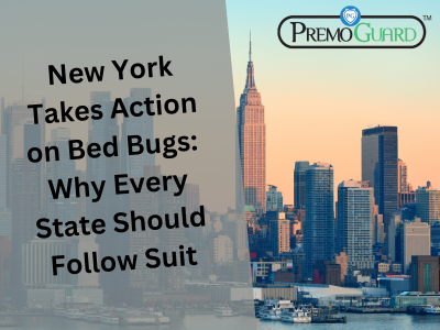 New York Takes Action on Bed Bugs: Why Every State Should Follow Suit