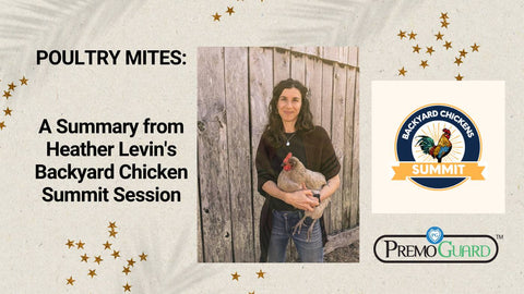 Poultry Mites: A Quick Summary from Heather Levin's Backyard Chicken Summit Session