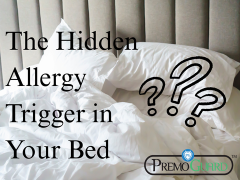 The Hidden Allergy Trigger in Your Bed