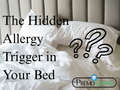 The Hidden Allergy Trigger in Your Bed