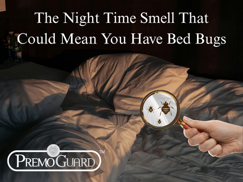 The Night Time Smell That Could Mean You Have Bed Bugs