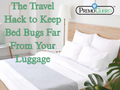 The Travel Hack to Keep Bed Bugs Far From Your Luggage
