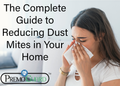 The Complete Guide to Reducing Dust Mites in Your Home