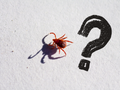 Something Is Biting You at Home — and It Might Not Be What You Think
