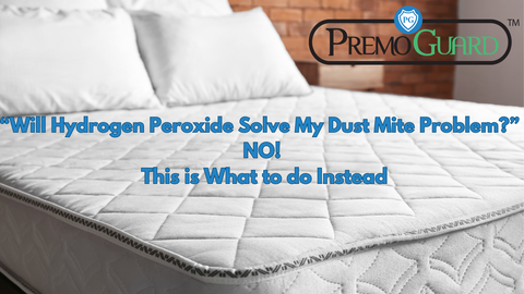 will hydrogen peroxide solve my dust mite problem