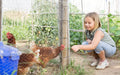 Are Bird Mites Dangerous to Humans? When to Be Concerned