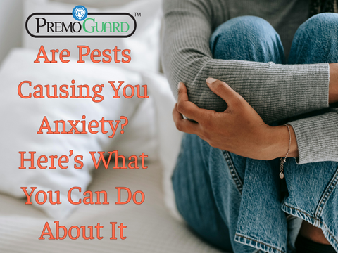 Are Pests Causing You Anxiety? Here’s What You Can Do About It