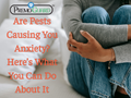 Are Pests Causing You Anxiety? Here’s What You Can Do About It