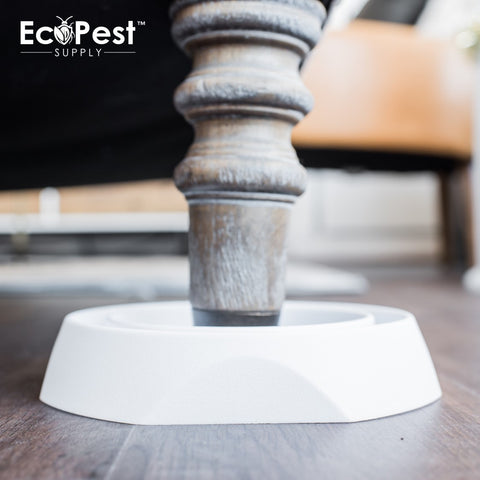 Bed Bug Blocker (Pro)™ — 12 Pack | Interceptors, Monitors, and Traps by EcoPest Supply