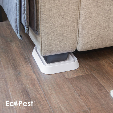 Bed Bug Blocker (XL)™ — 4 Pack | Interceptors, Monitors, and Traps by EcoPest Supply